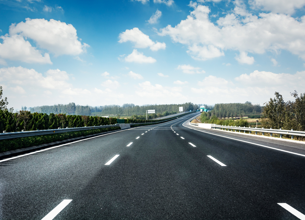 Telangana Unveils Ratan Tata Road to Boo...